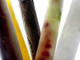 Ice Pops